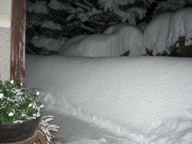 寝室廊下まで迫ってきた雪_d0167621_22254766.jpg