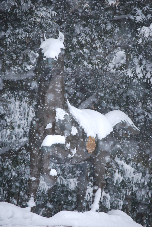 雪景色　in　平成２４壬辰_f0067122_12481514.jpg