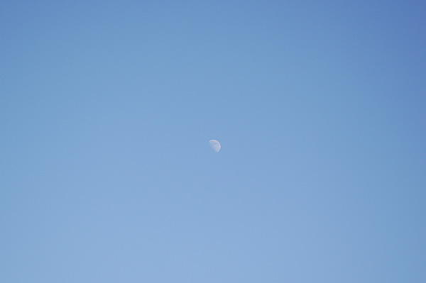 d0229423_1428435.jpg