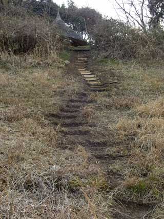 e0156224_1724015.jpg