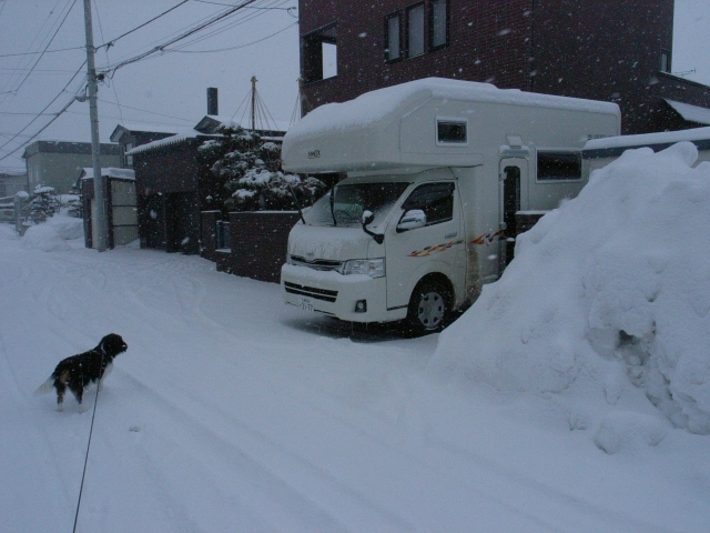 午後からプチ吹雪。_c0051132_2147658.jpg