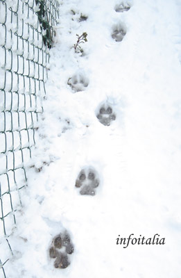 なんと大雪！！_c0077533_1611145.jpg