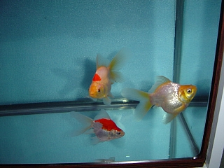 f0214235_164996.jpg