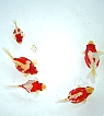 f0214235_22365731.jpg