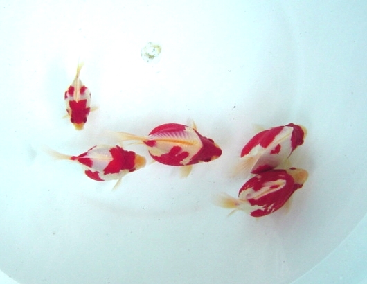 f0214235_23113991.jpg