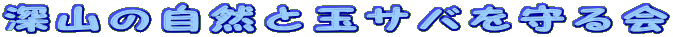 f0214235_336195.gif