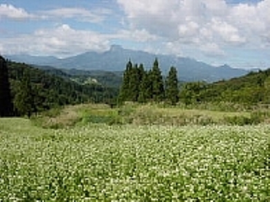 f0214235_355685.jpg