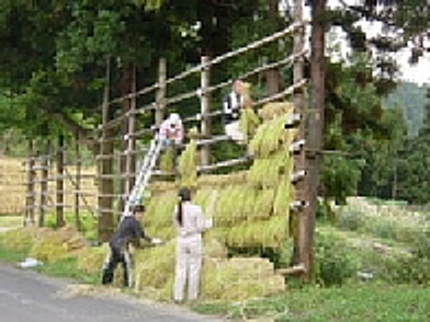 玉サバ紀行2003 新井市のみなさん_f0214235_3581751.jpg