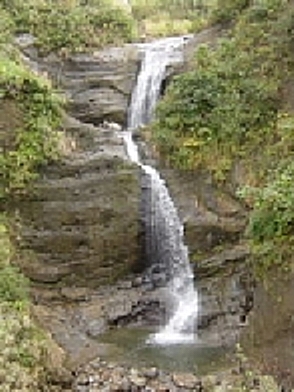 f0214235_359824.jpg