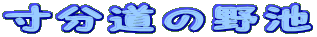 f0214235_4223239.gif