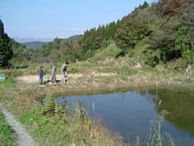 f0214235_4242756.jpg