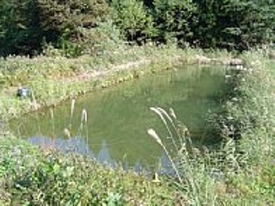 f0214235_4253529.jpg