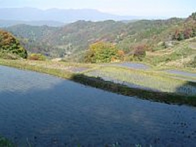 f0214235_429239.jpg