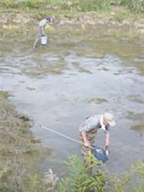 f0214235_431077.jpg