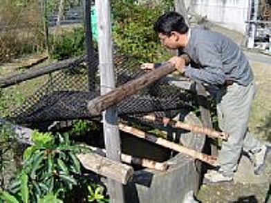 f0214235_4332426.jpg