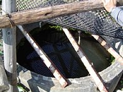 f0214235_4333827.jpg