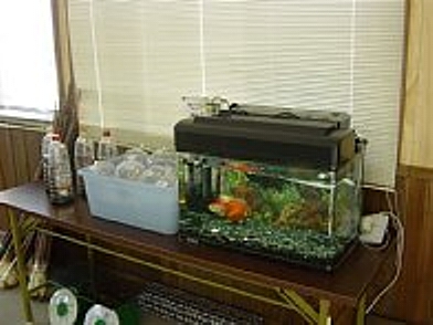 f0214235_435361.jpg