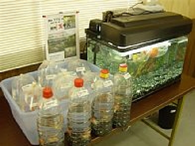 f0214235_451690.jpg
