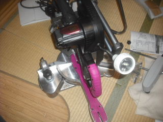 新しい仲間_f0031037_22354783.jpg