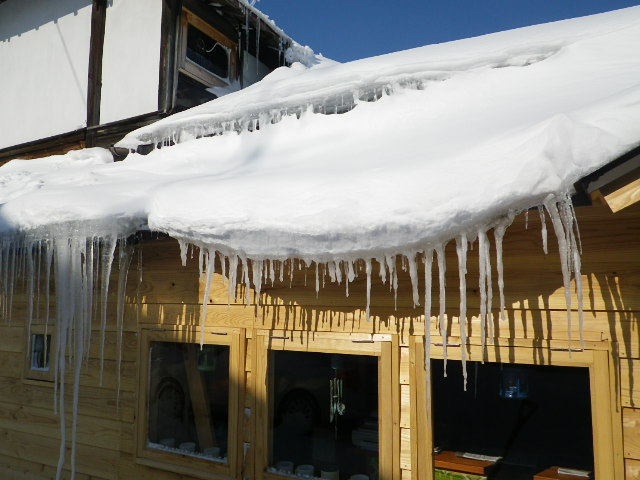 大雪。。。泣_b0207642_1405793.jpg