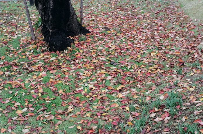 b0067346_0172246.jpg