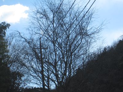 f0148649_20531167.jpg