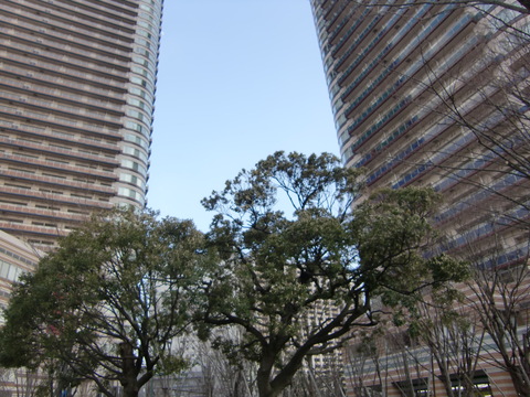 c0206352_15583520.jpg
