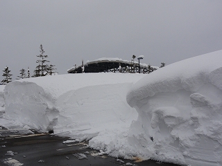 八色の森公園の降雪_a0084753_16105987.jpg