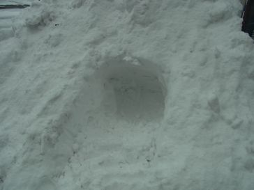 e0140354_1505631.jpg