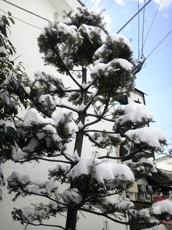 e0067358_174501.jpg