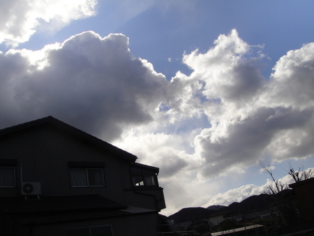 c0108460_1144181.jpg
