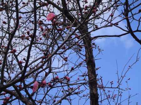 c0108460_11444926.jpg