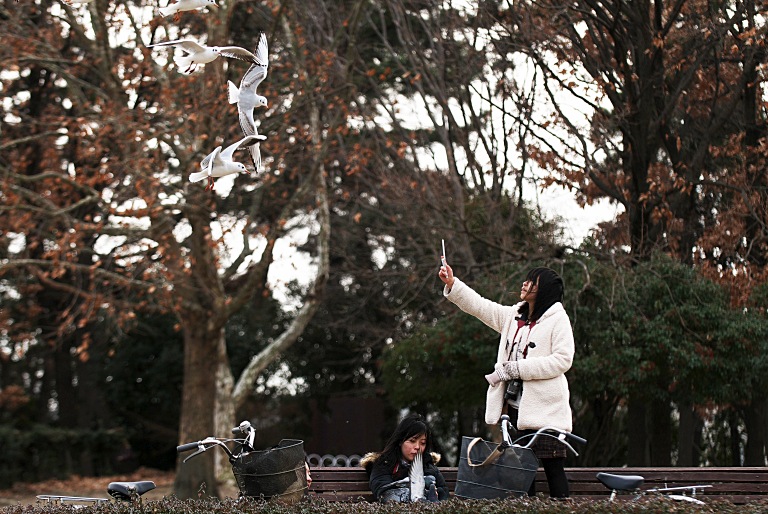 冬の鳥公園ポタ。　20120201_a0050572_23181640.jpg