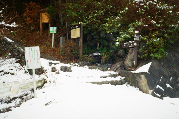 a0207672_2314546.jpg