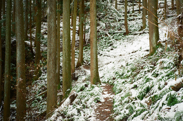 a0207672_23152756.jpg