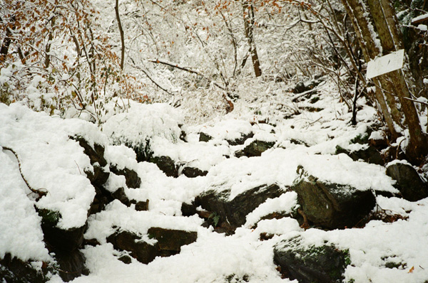 a0207672_23153952.jpg