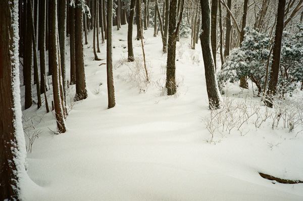 a0207672_23163691.jpg