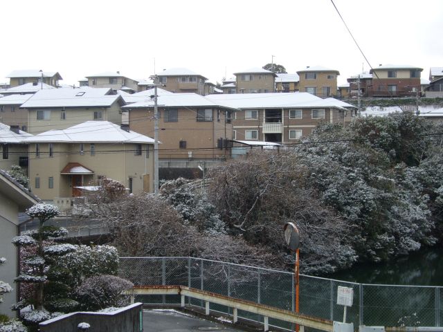 2012年初雪_d0126573_23123962.jpg