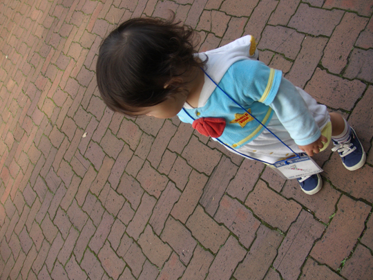 c0153978_1242198.jpg