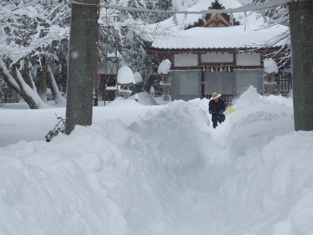 大雪警報、そして、雪かき　　２０１２．２．２_c0153880_19422688.jpg