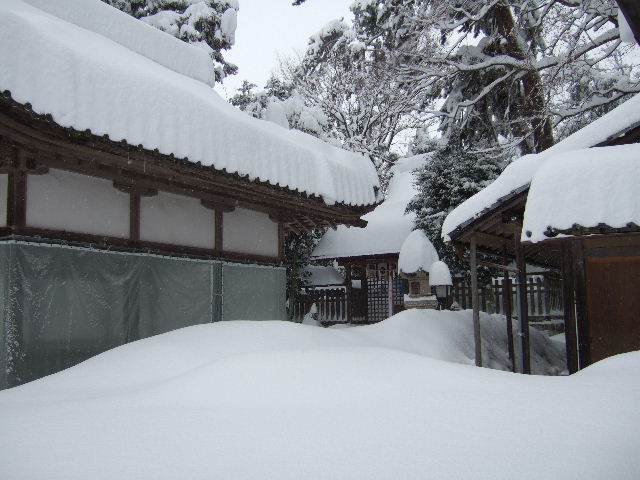 大雪警報、そして、雪かき　　２０１２．２．２_c0153880_19481795.jpg