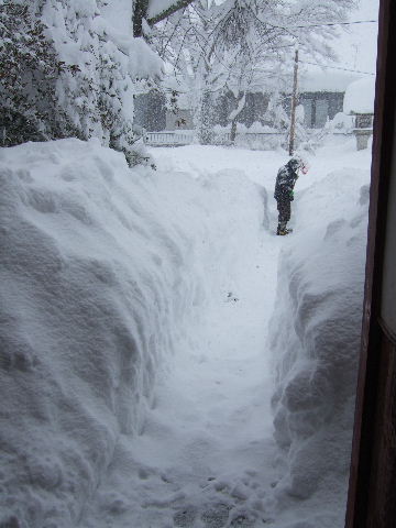 大雪警報、そして、雪かき　　２０１２．２．２_c0153880_21122790.jpg