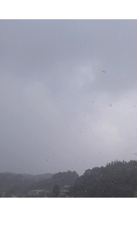 e0203580_15105437.jpg