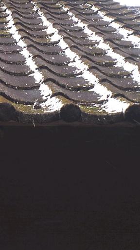 e0203580_1517150.jpg