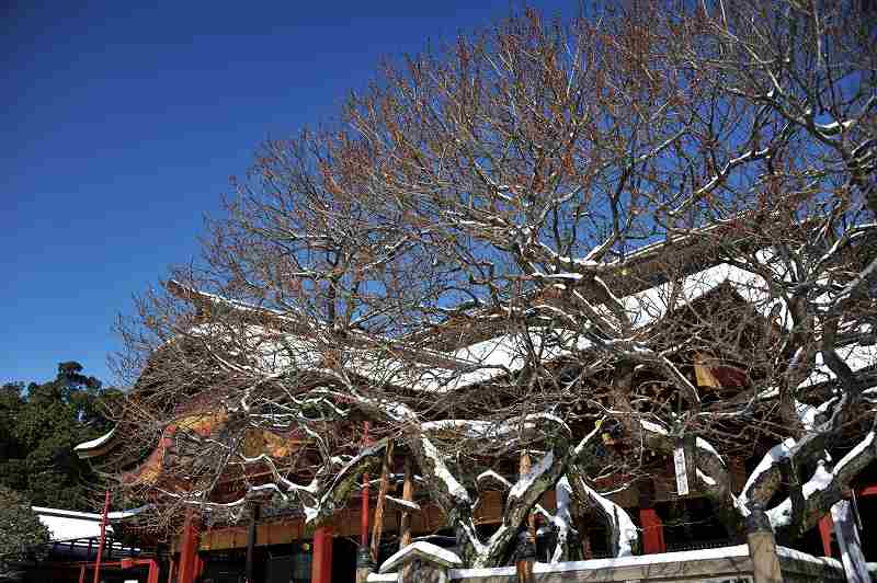 雪の天満宮_e0086887_2153772.jpg