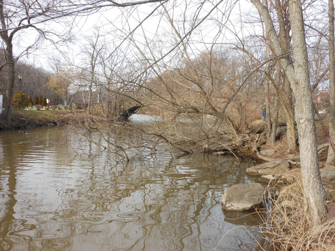 f0024887_8592187.jpg