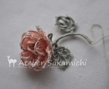 次の薔薇のお花。_f0214688_1610448.jpg