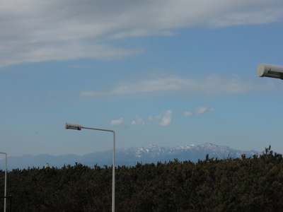 b0007895_10261940.jpg