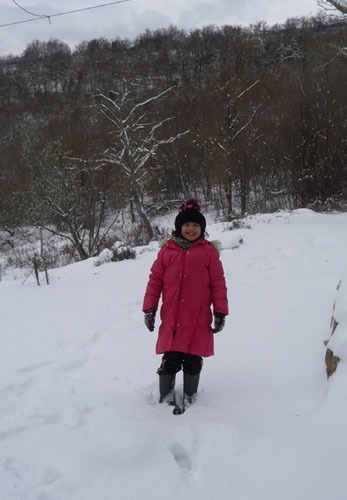 ユキちゃんと雪_f0106597_18585640.jpg