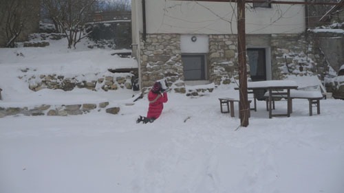 ユキちゃんと雪_f0106597_18592685.jpg